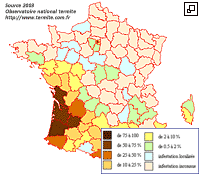 se d�barasser des termites